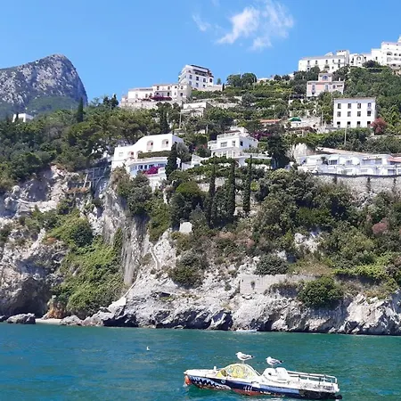 Porta Nova Apartament